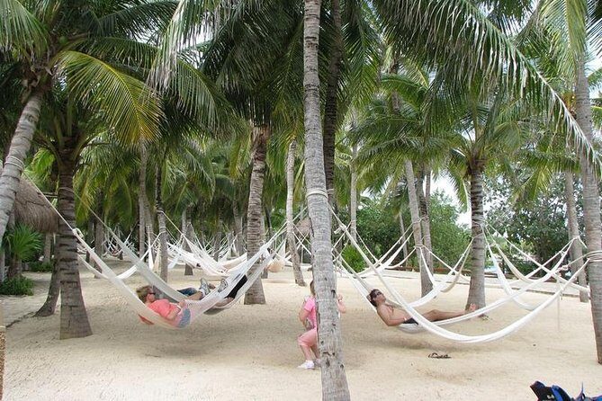 All Inclusive - Xel-Ha Park Tour from Cancún & Playa del Carmen - Authentic Experiences and Traveler Feedback