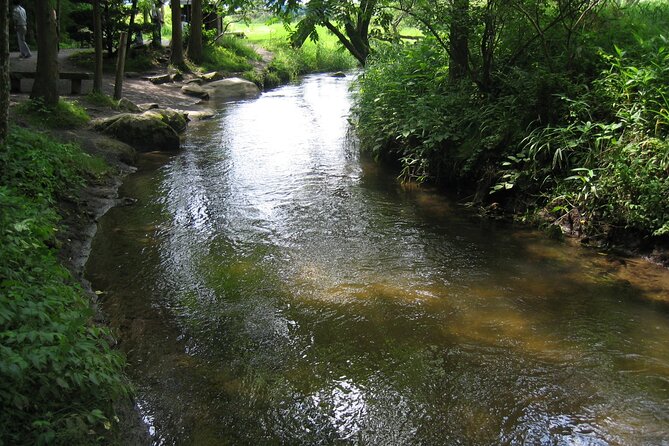 All Must-Sees Tono Private Tour With Government-Licensed Guide - Policies