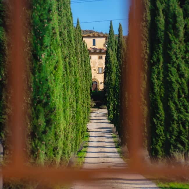 All Tuscany Wine Tour - What to Expect from the Tour
