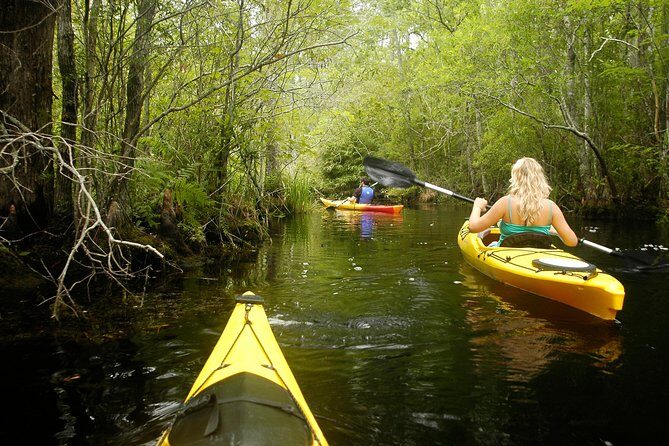 Alligator River Kayak Adventure - Who Will Love This Tour?