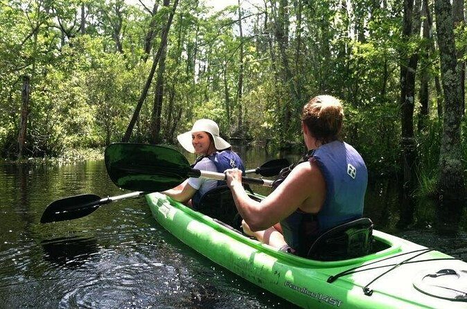 Alligator River Kayak Adventure - Final Thoughts