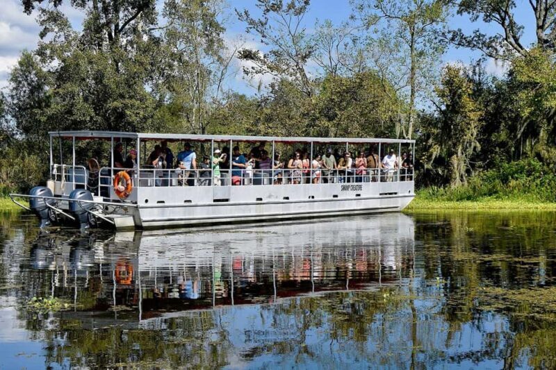Alligator Swamp Tour by Gray Line New Orleans - Key Points