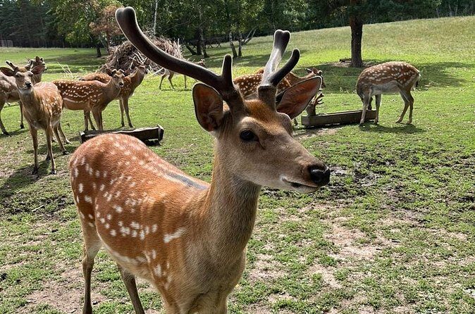 Almaty City Tour Green Bazaar Iconic City Routes and Kok Tobe - Who Should Consider This Tour?