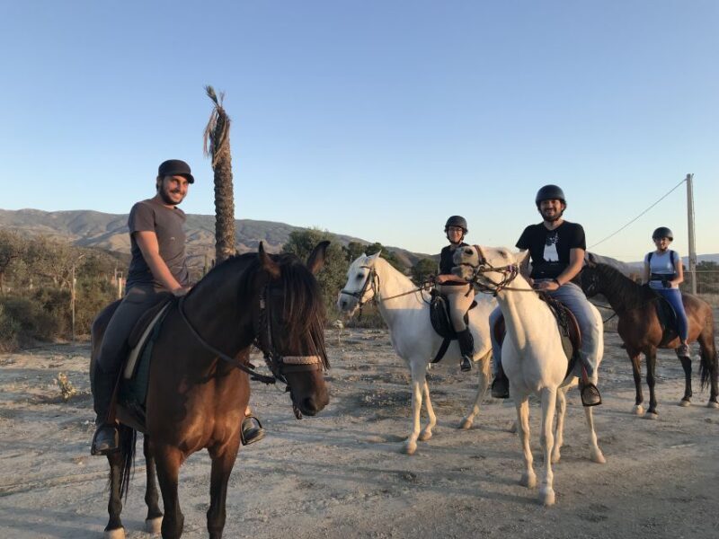Almeria: Horse Riding Tour Through the Tabernas Desert - FAQ