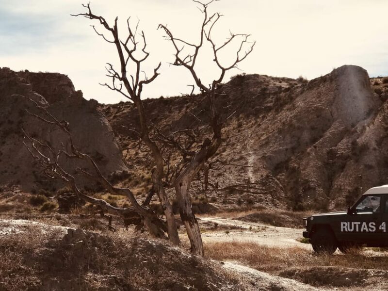 Almeria: Tabernas Desert 4x4 Tour - An Introduction to the Landscape and Its Wild Beauty