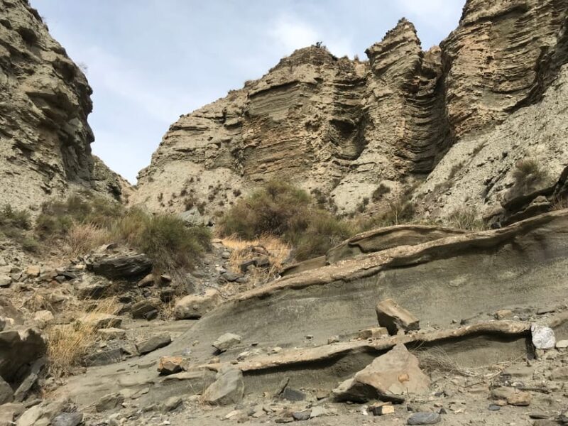Almeria: Tabernas Desert 4x4 Tour - Authentic Experiences and Honest Feedback