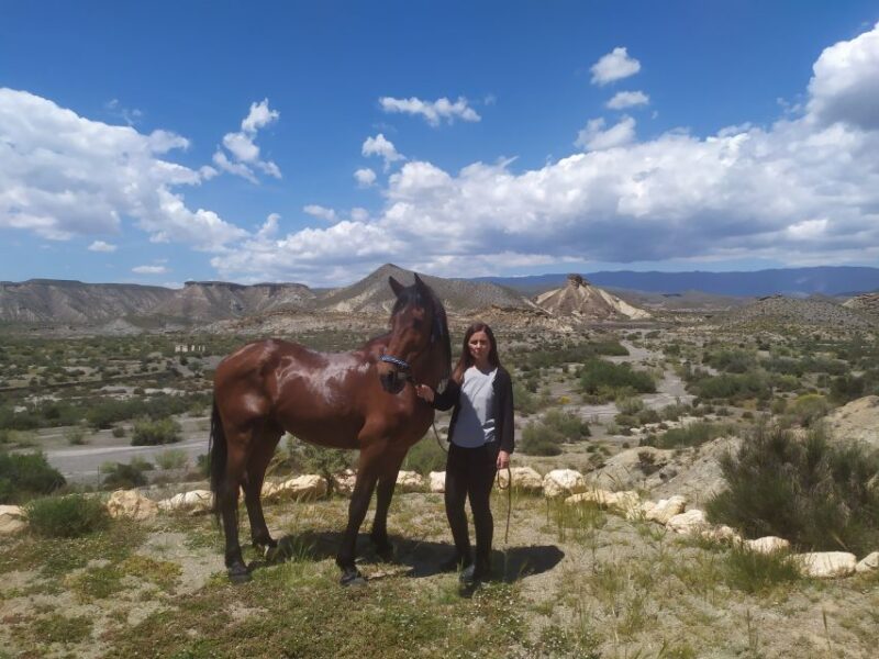 Almeria: Tabernas Desert Horse Riding for Experienced Riders - Feedback and Ratings