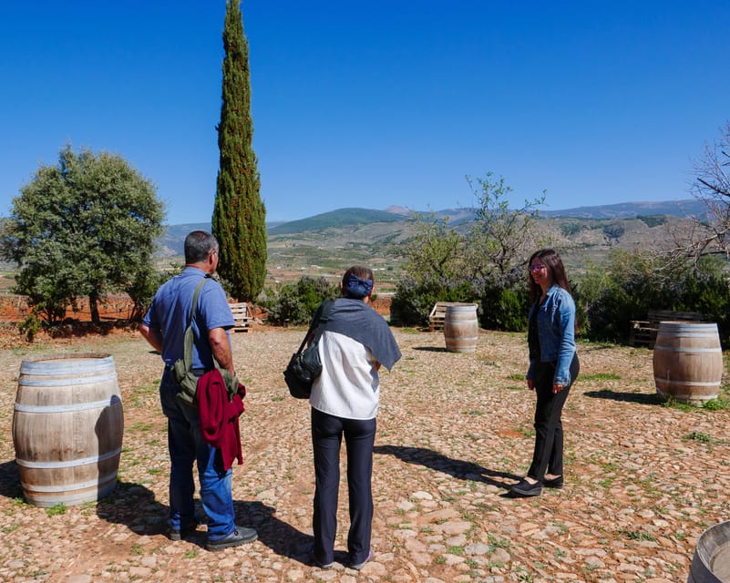 Almería: Wine tour and aperitif from La Alpujarra in Winery - The Agricultural Museum