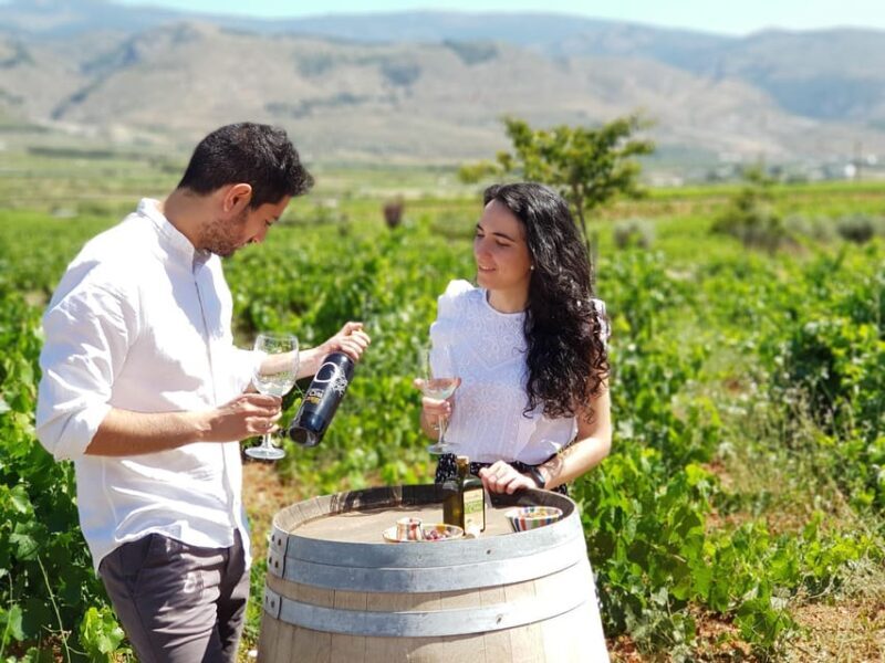 Almería: Wine tour and aperitif from La Alpujarra in Winery - The Organic Winery Tour