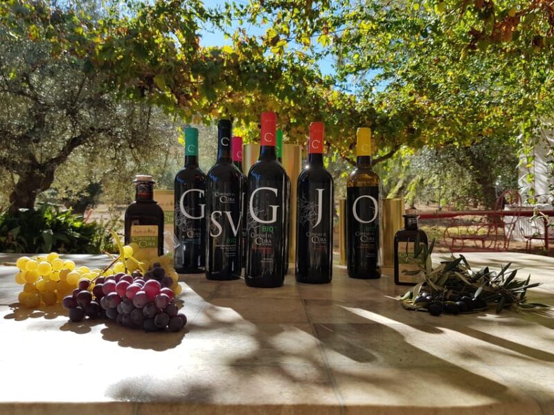 Almería: Wine tour and aperitif from La Alpujarra in Winery - Cost and Value