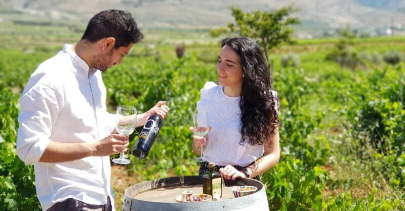 Almería: Wine Tour and Tasting in Organic Winery - Highlights of the Experience