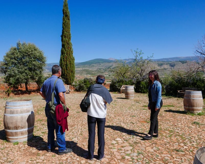 Almería: Wine Tour and Tasting in Organic Winery - Detailed Itinerary