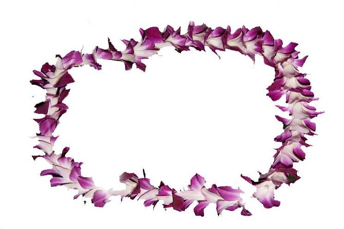 Aloha Lei Greeting on Arrival in Honolulu - Good To Know