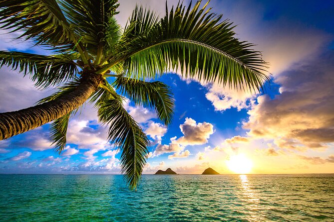 Aloha Lei Greeting on Arrival in Honolulu - Meeting Location and Details