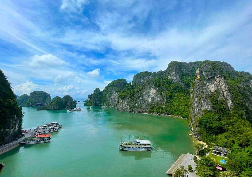 Alova Premium Cruise - Deluxe Day Tour From Ha Long Bay - Tour Overview and Pricing