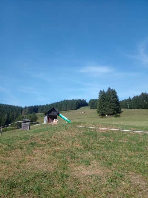 Alp Mountains Tour - Authenticity and Value