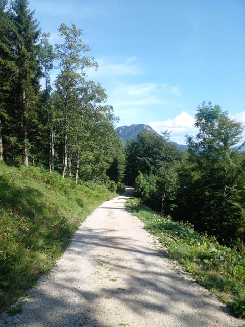 Alp Mountains Tour - Cultural Experiences