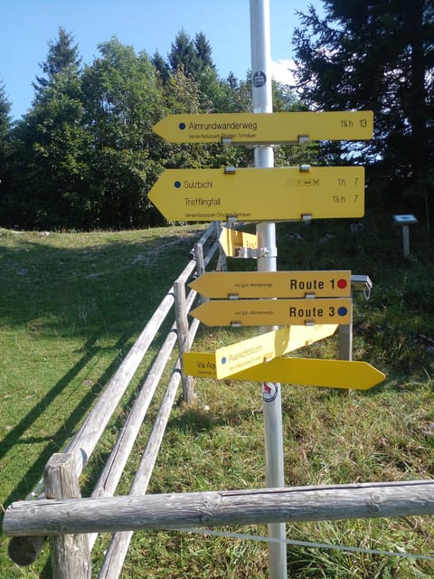 Alp Mountains Tour - Travel Details and Logistics