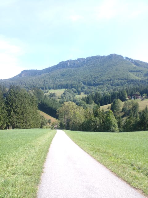 Alp Mountains Tour - Booking and Cancellation Policy