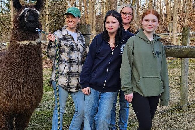 Alpaca and Llama Encounter With Guided Walk - About the Experience