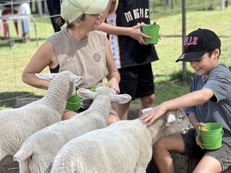 Alpaca Feeding with Wildlife Nature Park Visit Private Tour - Who Would Love This Tour?