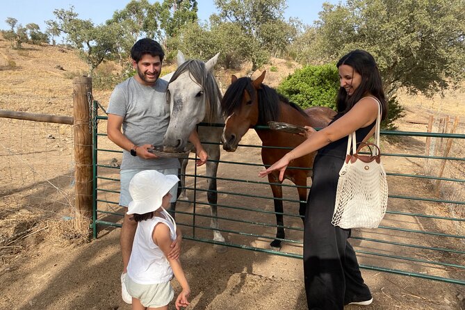 Alpaca Meet and Feed in Grândola - Whats Included in the Tour