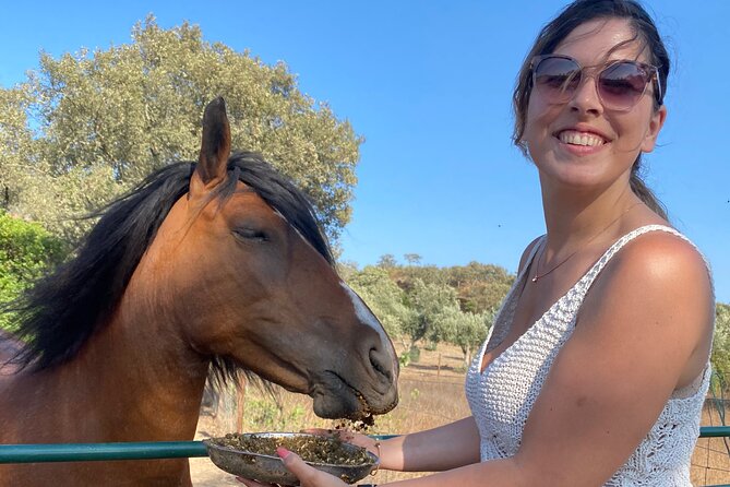 Alpaca Meet and Feed in Grândola - Additional Highlights of the Tour