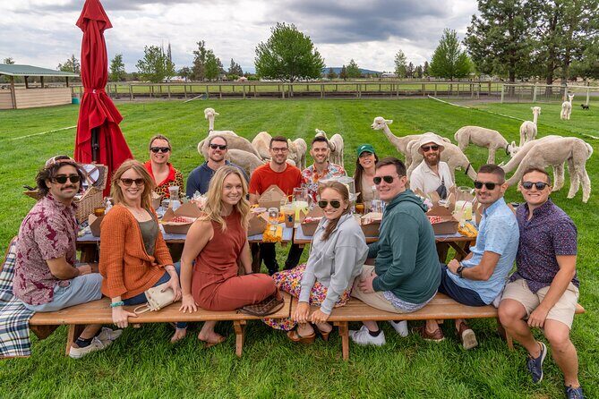 Alpaca Picnic Experience in Oregon - Final Thoughts: Is It Worth It?