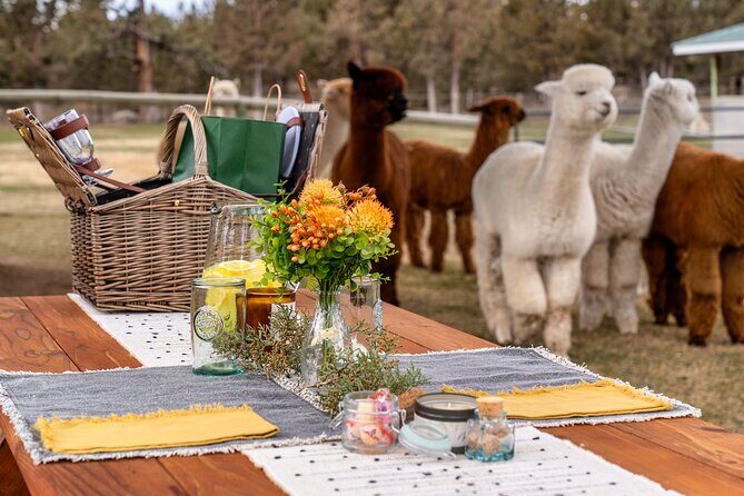 Alpaca Picnic Experience in Oregon - FAQ