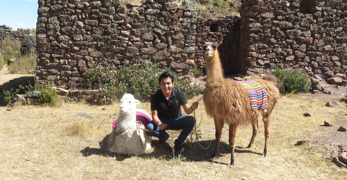 Alpaca Therapy and Healing With Clay - Detailed Itinerary