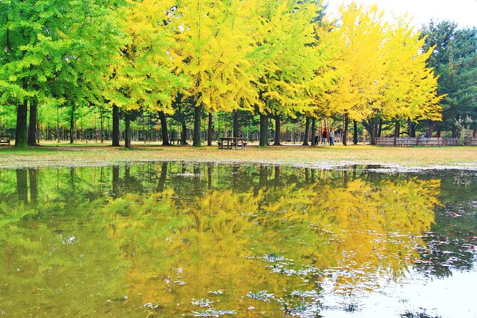 Alpaca World Tour With Nami Island & Optional Railbike or Garden - Booking Information