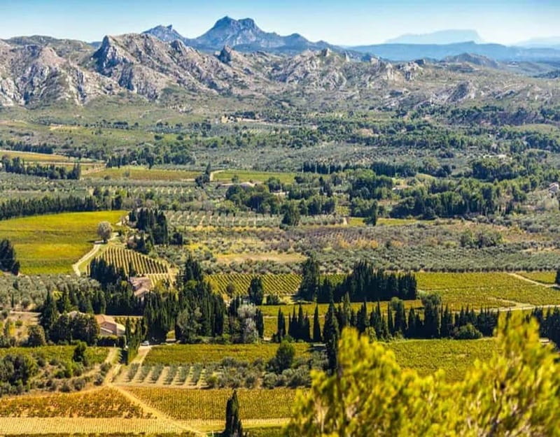 Alpilles: Discover wine estates and farms by electric bike - Key Points