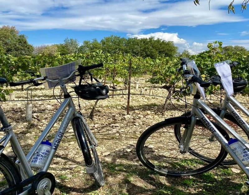 Alpilles: Discover wine estates and farms by electric bike - The Sum Up: Is It Worth It?