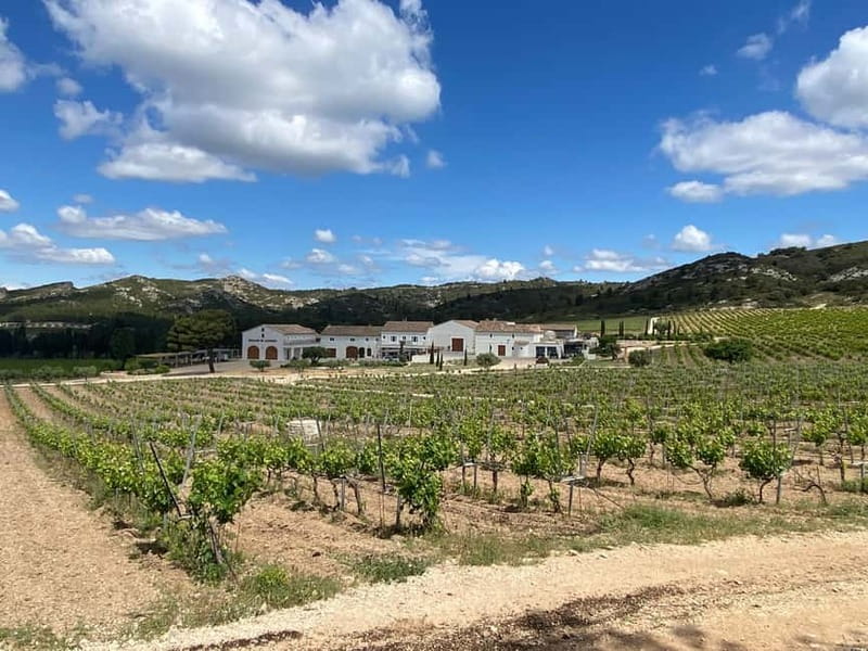 Alpilles: Tours, wine tastings and bistronomic restaurant - Lunch in a Bistronomic Setting