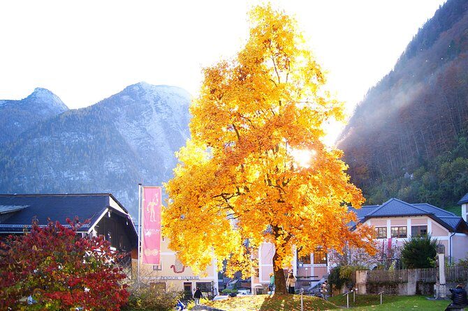 Alpine Hallstatt Day Trip from Vienna incl. Admont Abbey Visit - What Could Be Better?