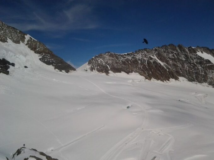 Alpine Majesty: Basel to Jungfraujoch Exclusive Private Tour - Ask Away