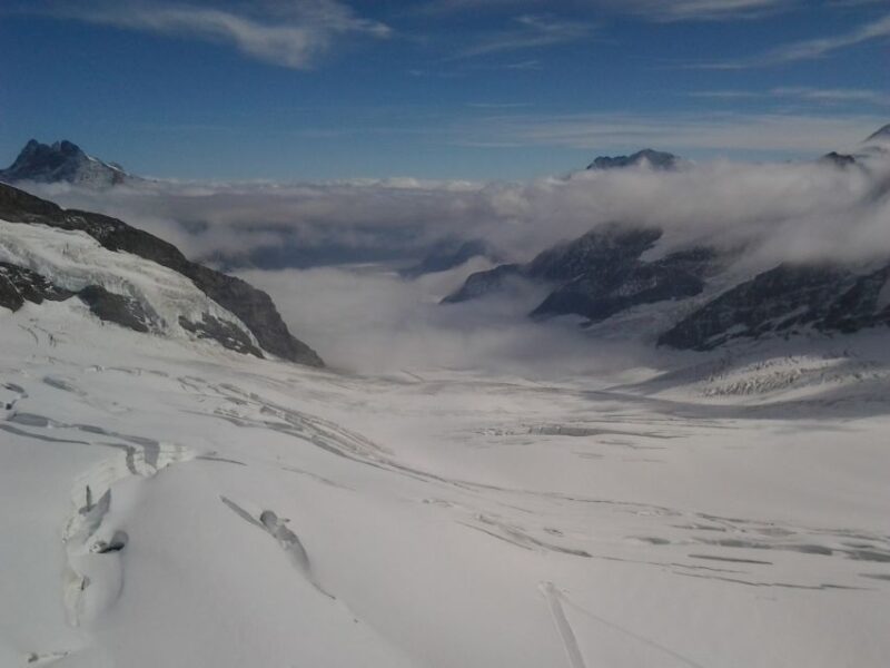 Alpine Majesty: Bern to Jungfraujoch Exclusive Private Tour - Customer Reviews and Ratings