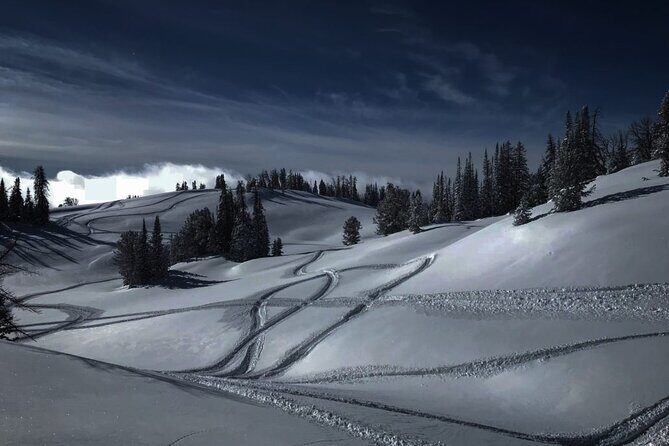 Alpine Self Guided Snowmobile Rentals - Key Points