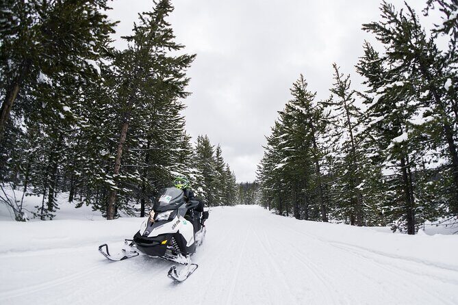 Alpine Self Guided Snowmobile Rentals - Exploring Wyoming’s Winter Wonderland