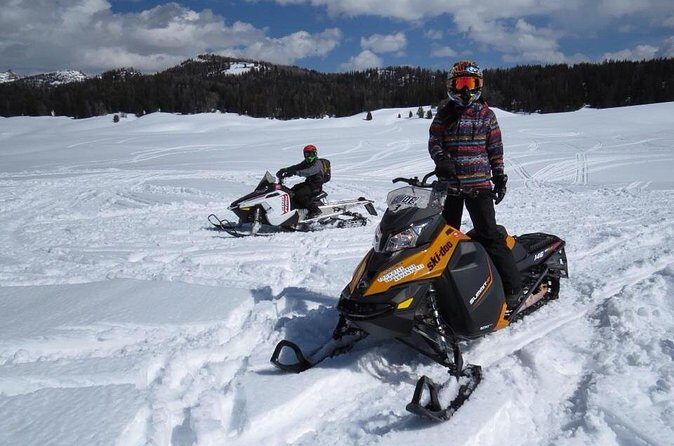 Alpine Self Guided Snowmobile Rentals - Who Will Love This Experience?
