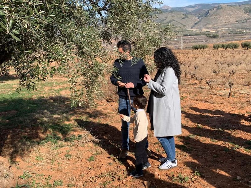Alpujarra of Almería: Organic Wine tour and vegan aperitif - Introduction
