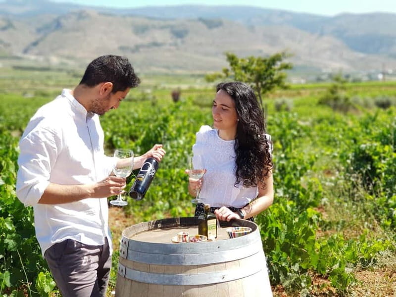 Alpujarra of Almería: Organic Wine tour and vegan aperitif - Key Points