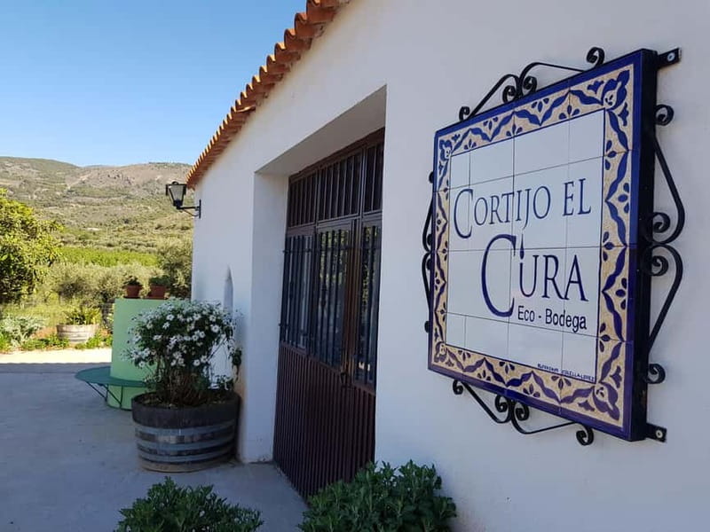 Alpujarra of Almería: Organic Wine tour and vegan aperitif - Practical Details and Value