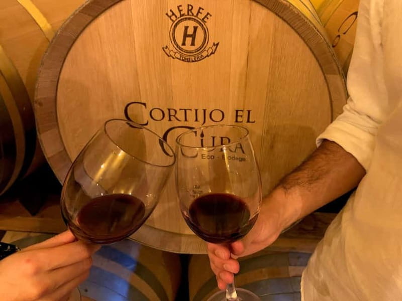 Alpujarra of Almería: Organic Wine tour and vegan aperitif - Authentic and Eco-Friendly Experience