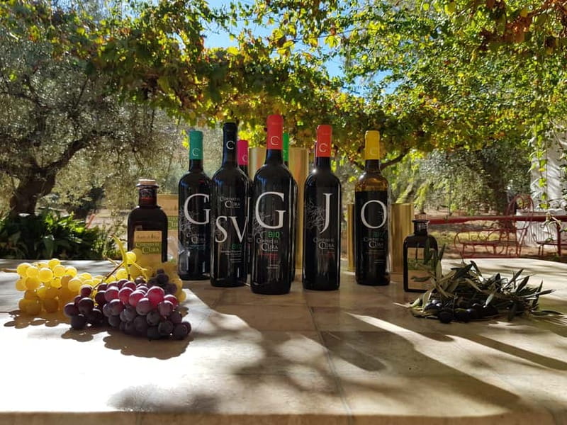 Alpujarra of Almería: Organic Wine tour and vegan aperitif - Who Should Consider This Tour