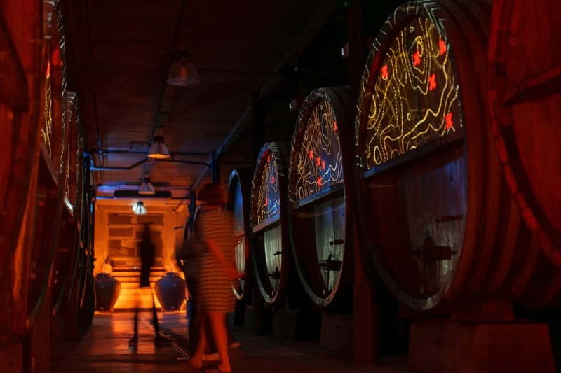 Alsace: Alsatian Wine Tasting Tour and Alsatian Lunch - The Alsatian Lunch in a Modern, Immersive Setting