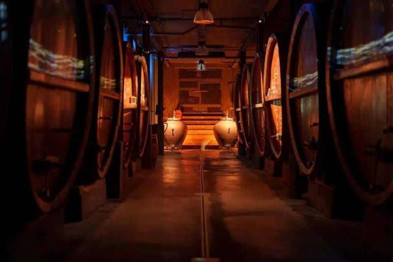 Alsace: Alsatian Wine Tasting Tour and Alsatian Lunch - Practical Details: What to Expect and How It Works