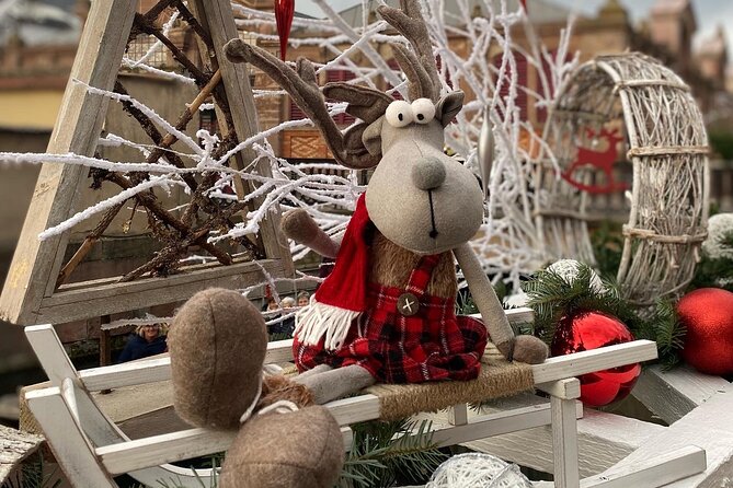 Alsace Christmas Markets & Fairy Tale Villages Private Tour From Strasbourg - Review Highlights