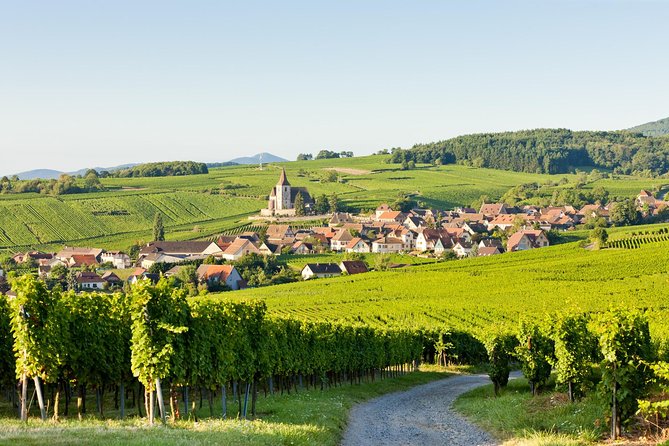 Alsace Colmar, Medieval Villages & Castle Small Group Day Trip From Strasbourg - Traveler Reviews