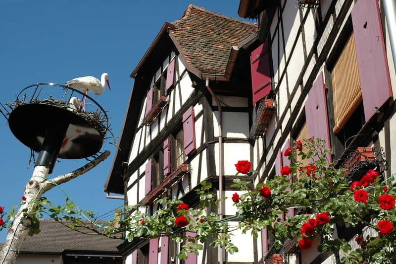 Alsace Half-Day Wine Tour from Strasbourg - Key Points